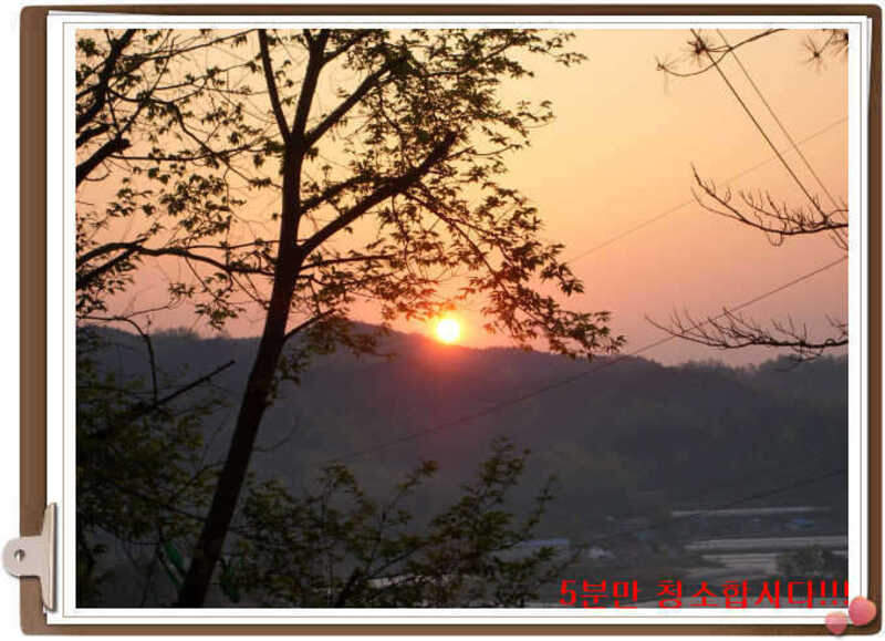 120수영지일출_johwang08414172.jpg