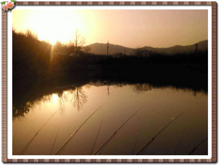 _공병정면_johwang12461950.jpg