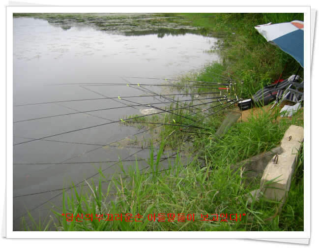 _내자리_johwang07472768.jpg