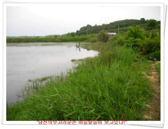 _뚝방좌안모습_johwang07443015.jpg