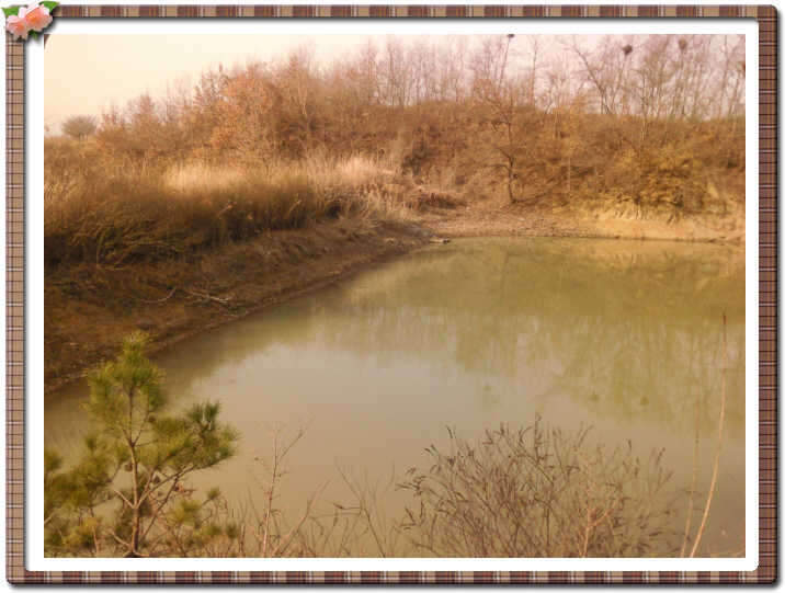 _뚝방_johwang1239282.jpg