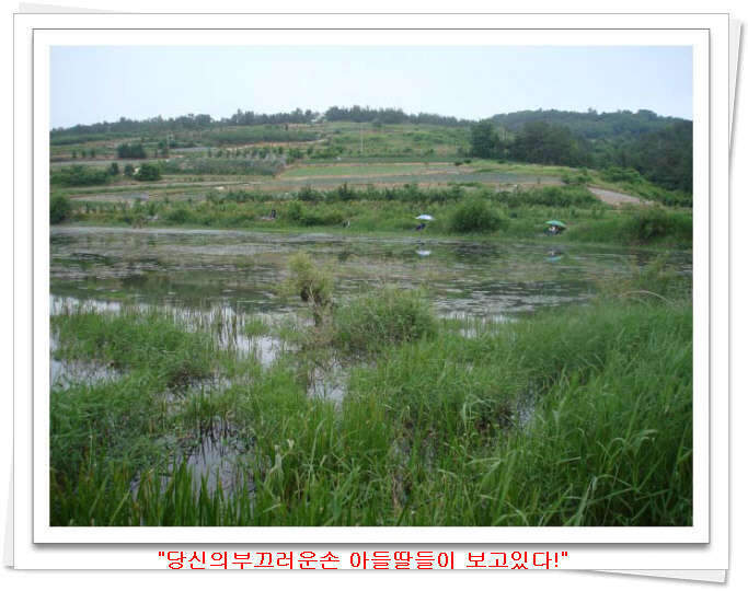 _모산지 전경_johwang08125970.jpg