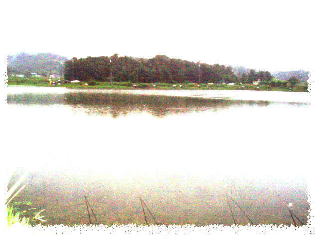 _부제지 062_johwang09080599.jpg
