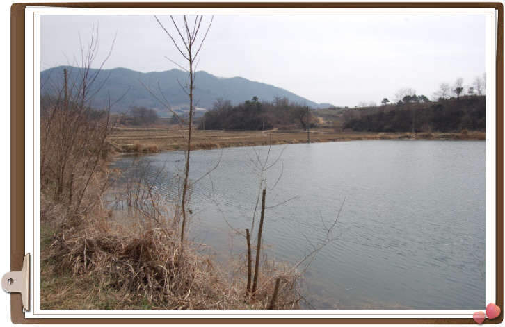 _사진 001_johwang1103482.jpg