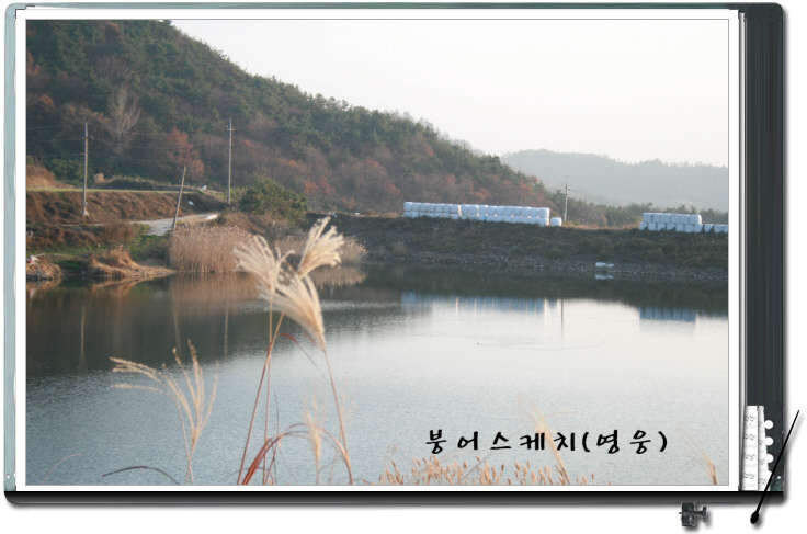 _사진 006_johwang12031648.jpg