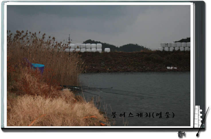 _사진 014_johwang12032588.jpg