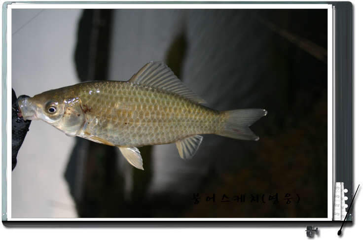_사진 026_johwang1204536.jpg