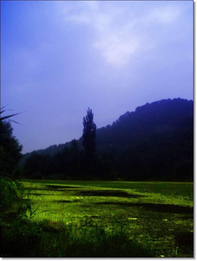 _사진 037 복사_johwang03390885.jpg