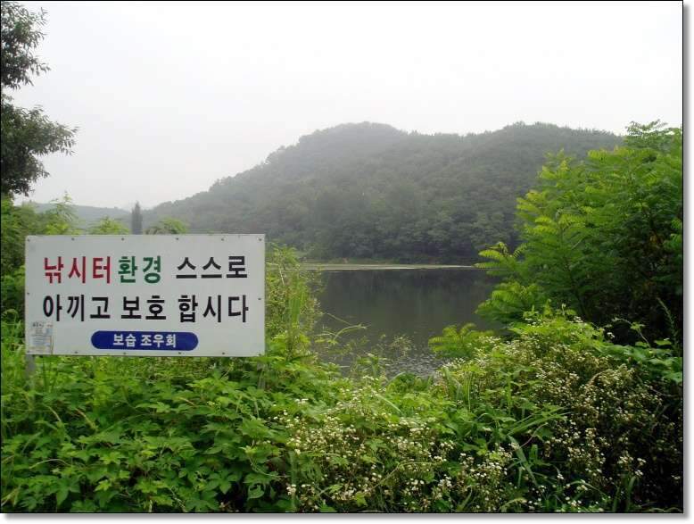 _사진 061_johwang03464558.jpg