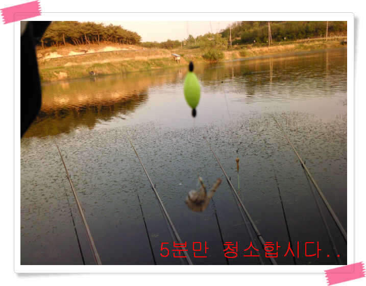 _연주찌새우_johwang11591262.jpg