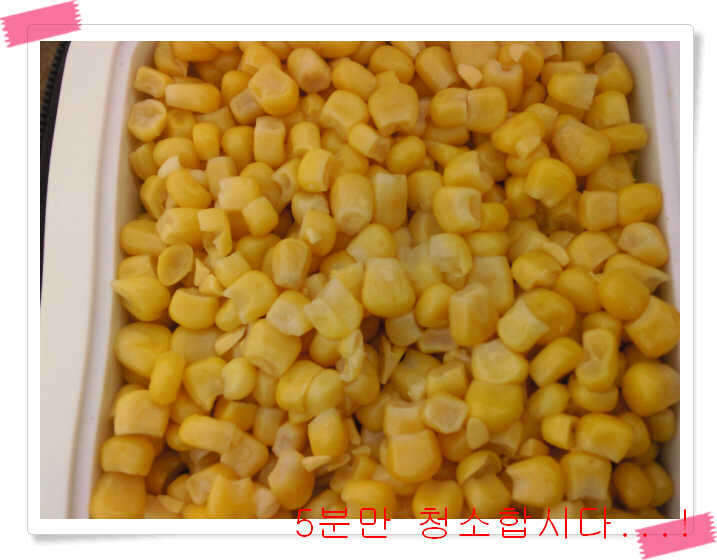_옥수수_johwang11573627.jpg