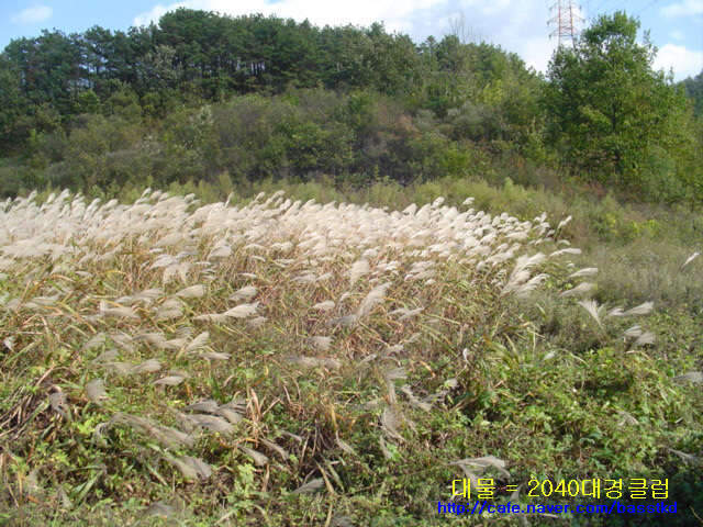_원걱지 005_johwang06121629.jpg