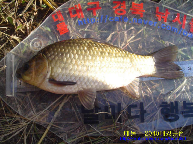_원걱지 010_johwang06184716.jpg