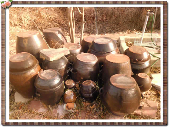 _장독데_johwang12560832.jpg