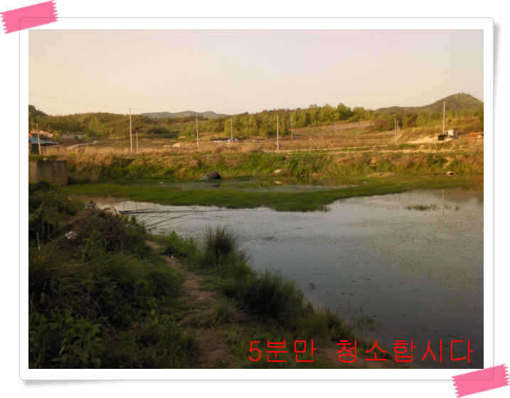 _좌안_johwang11430274.jpg