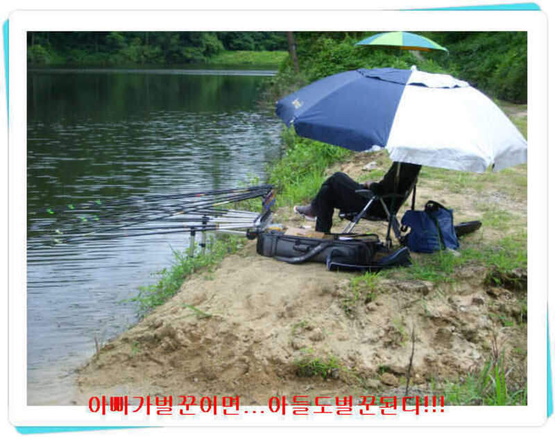 _탁이57님자리_johwang03374217.jpg