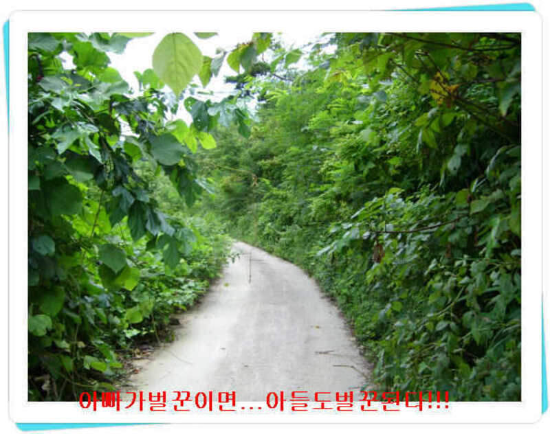 _태봉지도로_johwang03234264.jpg
