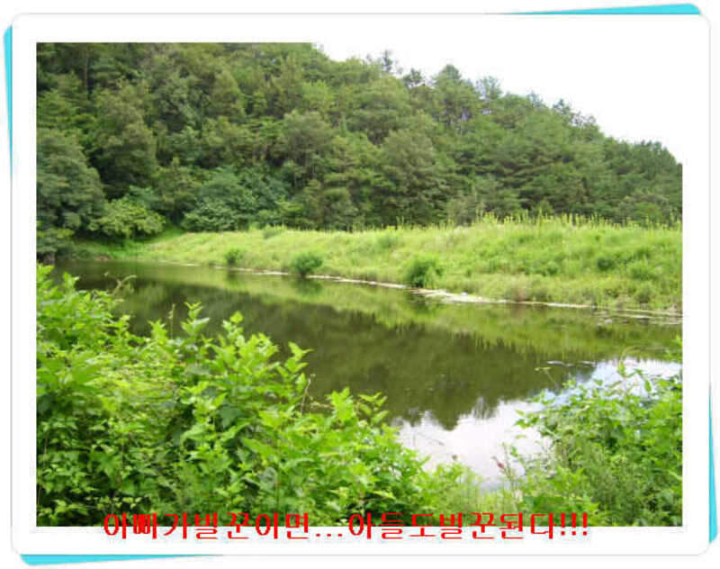 _태봉지뚝방_johwang03235262.jpg