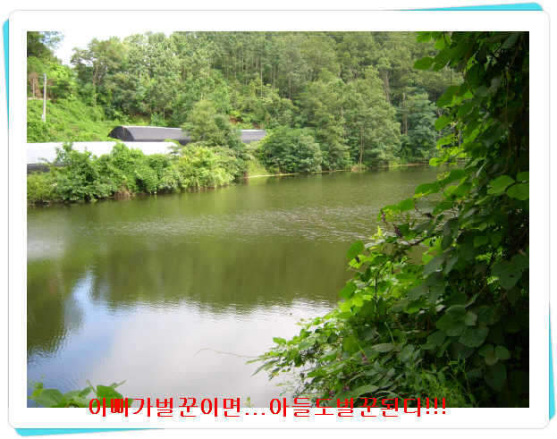 _태봉지중류_johwang03240567.jpg