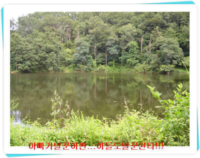 _태봉지하류_johwang03242111.jpg