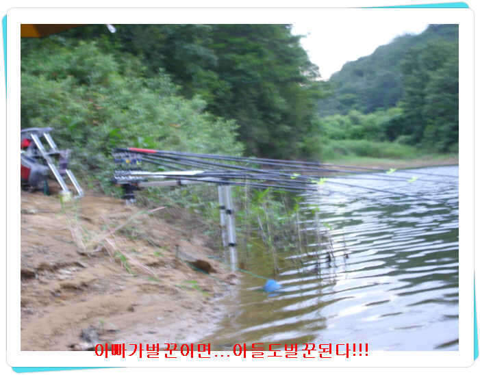 _효령내자리1_johwang04100649.jpg