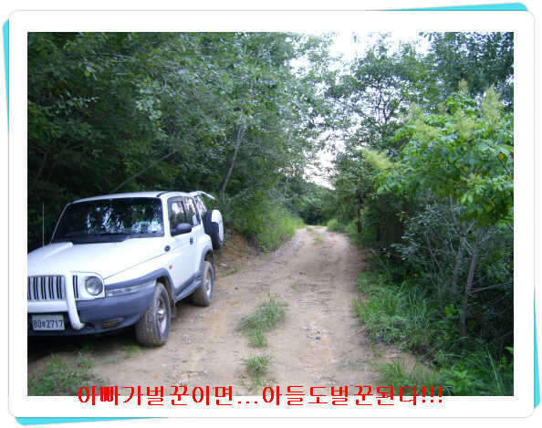 _효령내차_johwang04013295.jpg
