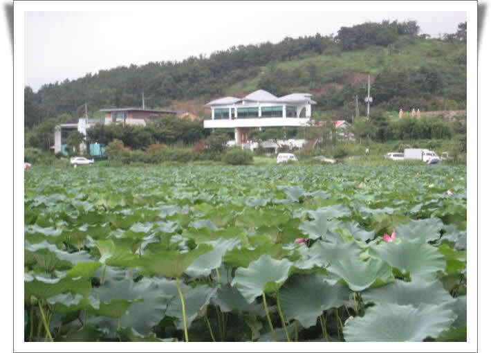 _0807257사진 124_johwang03562865.jpg