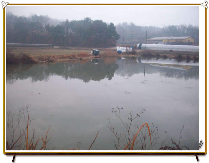 _09년12월9일공주 047_johwang0141182