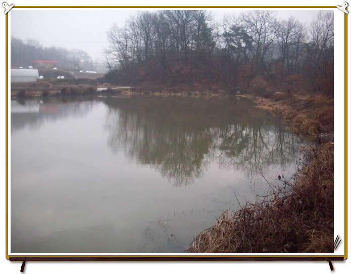 _09년12월9일공주 049_johwang0141274