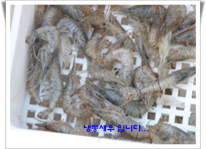 _1농암지 윗못꾸미기_11177PB03045