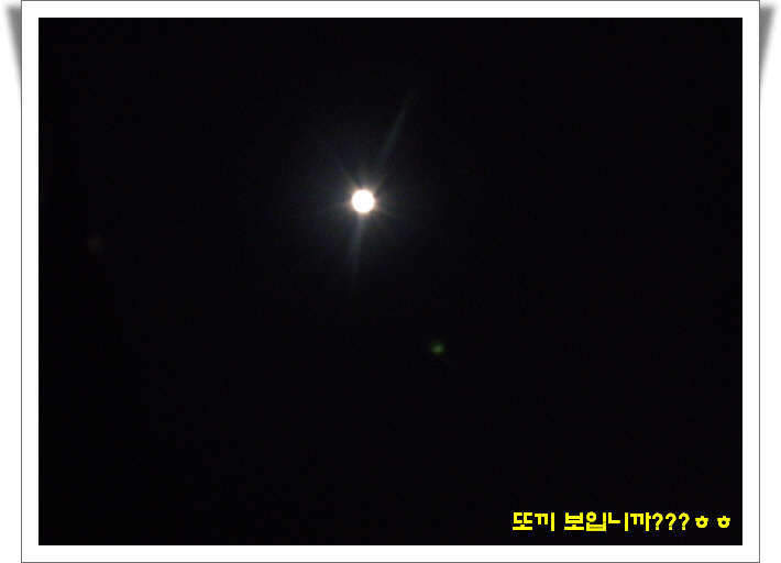 _1농암지 윗못꾸미기_11177PB04050