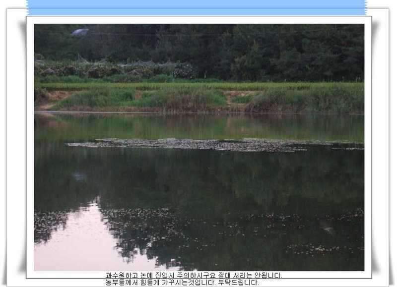 _DSCF1605_johwang09003849.jpg