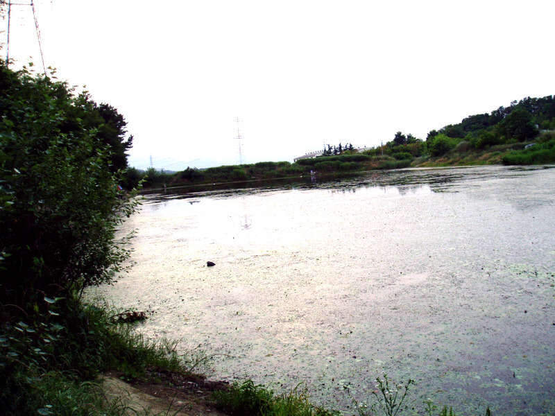 _P1010088_johwang09160374.jpg