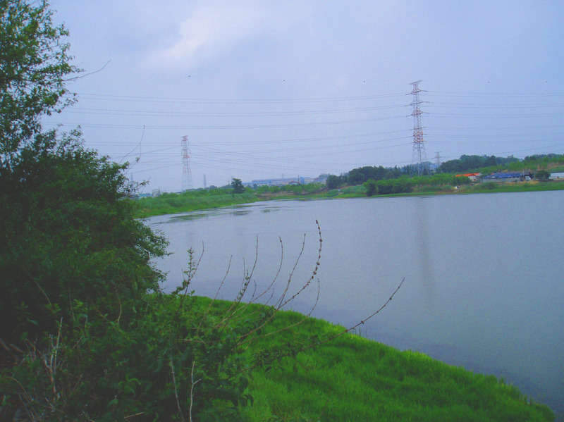 _P1010127_johwang09184530.jpg
