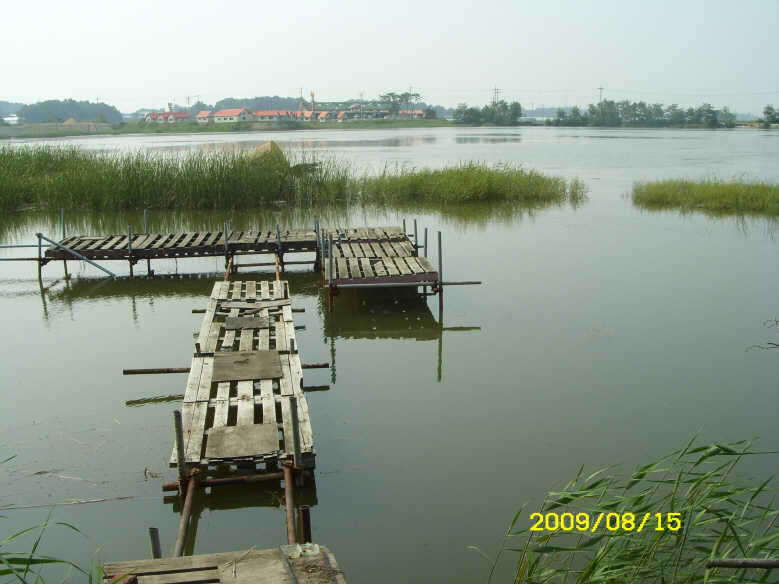 _ST830861_johwang11261083.jpg