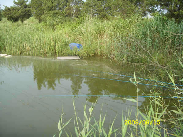_ST830862_johwang11261843.jpg