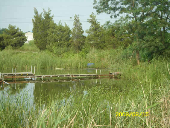 _ST830871_johwang112741100.jpg