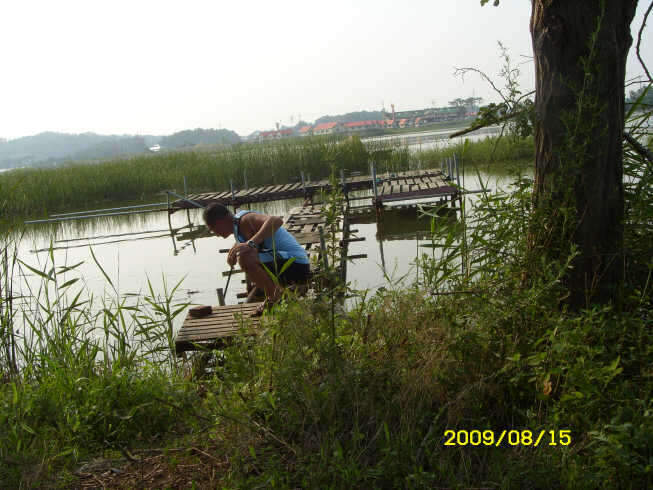 _ST830879_johwang11291469.jpg