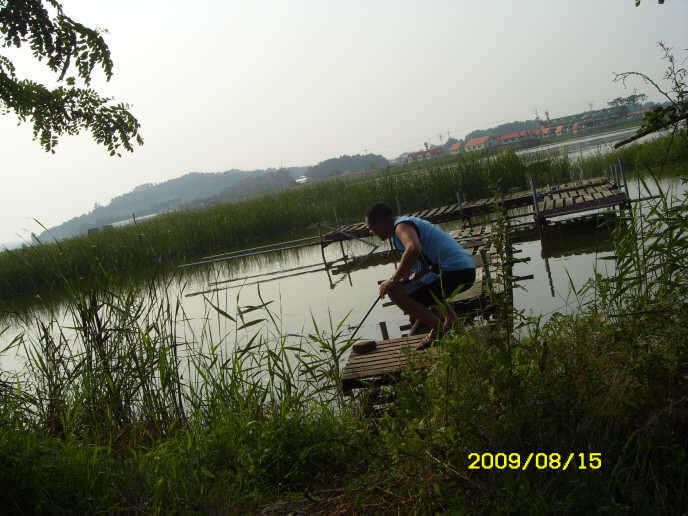 _ST830880_johwang11292410.jpg