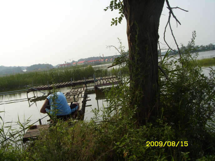 _ST830883_johwang11293059.jpg
