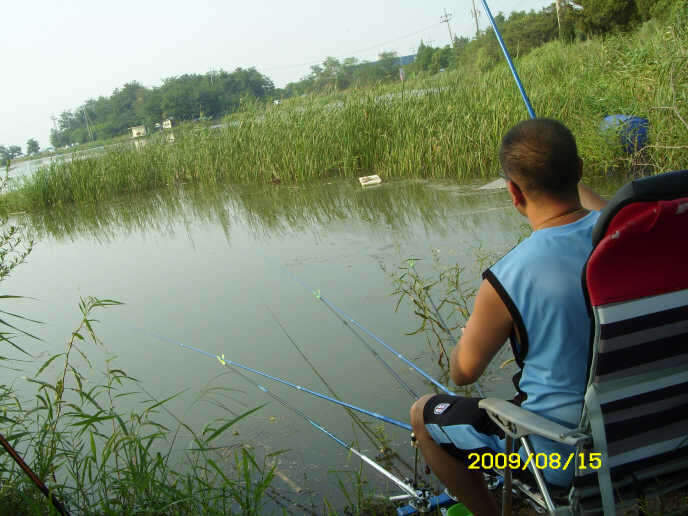 _ST830886_johwang11293794.jpg