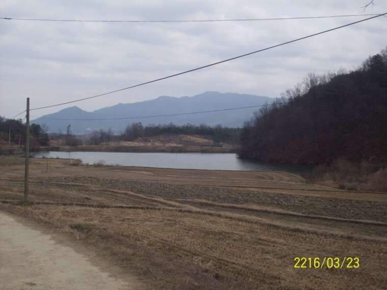 060_johwang10152844.jpg