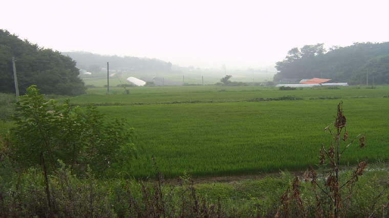 (제방)_johwang09021286.jpg