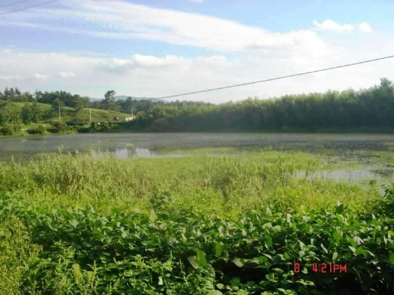 _johwang10500841.jpg