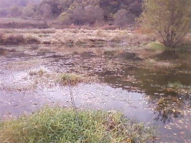 7_johwang08314968.jpg