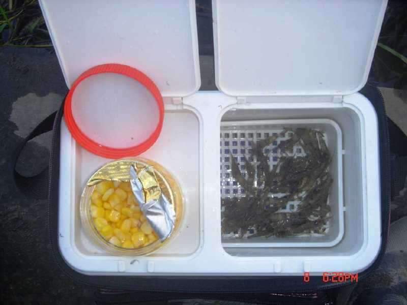 _johwang10563830.jpg