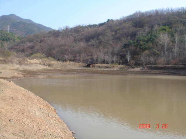 011_johwang11551823.jpg
