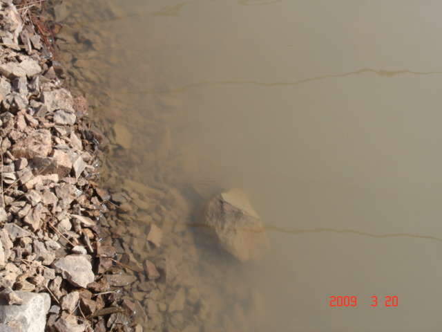 017_johwang12050847.jpg