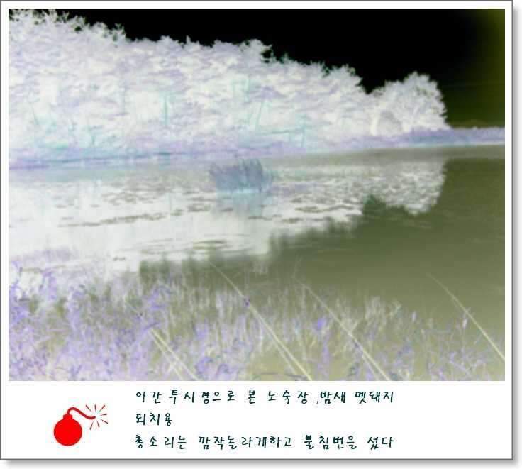 4_johwang04304999.jpg