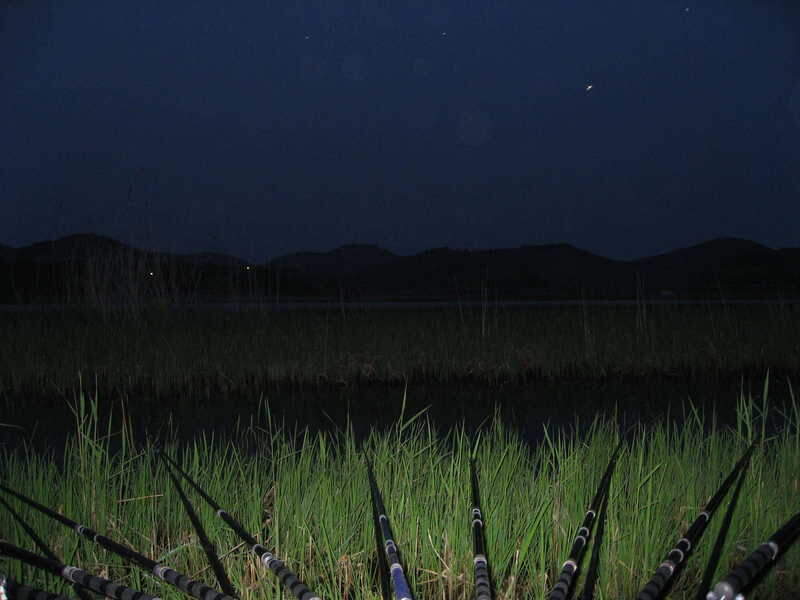 004_johwang05054196.jpg
